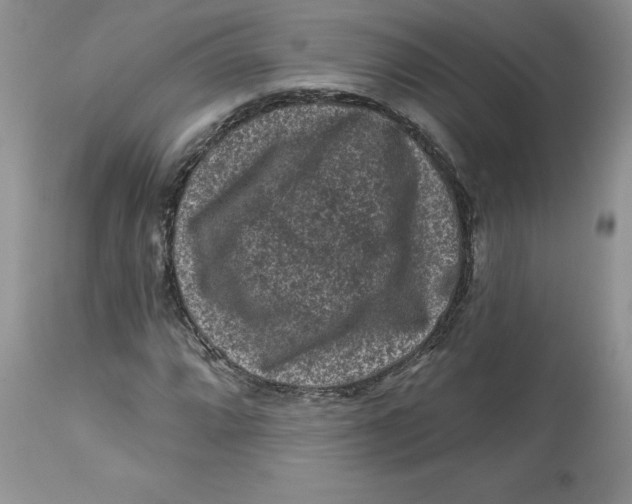 X0000112801064200909111230