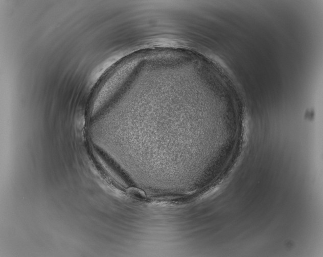 X0000112801065200909111230