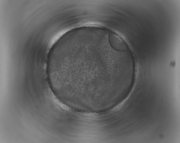 X0000112801066200909111230