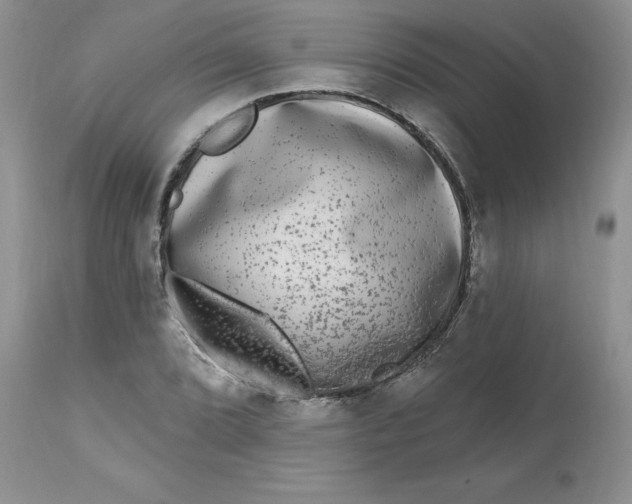 X0000112801072200909111230