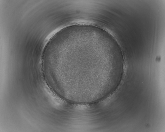 X0000112801074200909111230