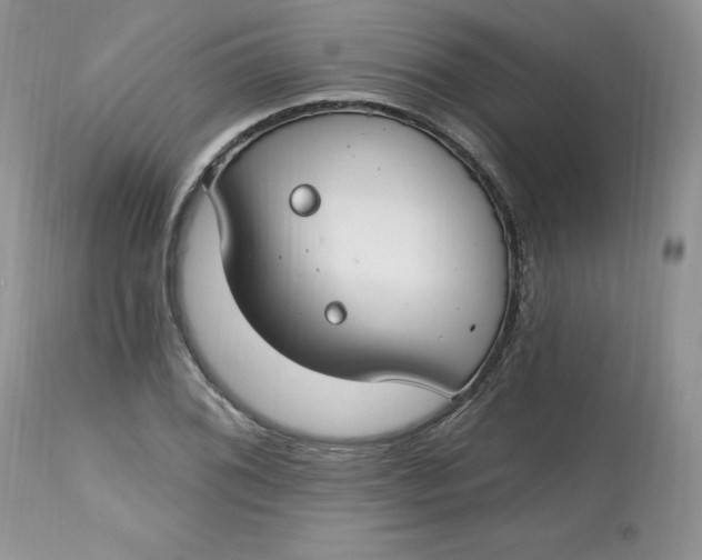 X0000112801076200909111230