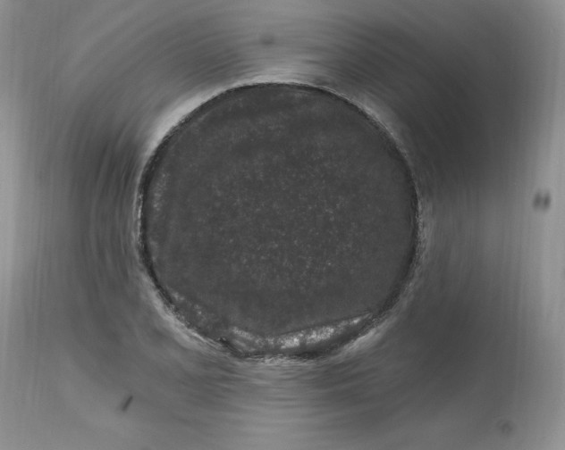 X0000112801077200909111230