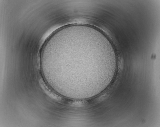 X0000112801078200909111230