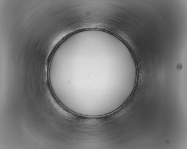 X0000112801079200909111230