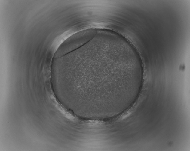 X0000112801081200909111230