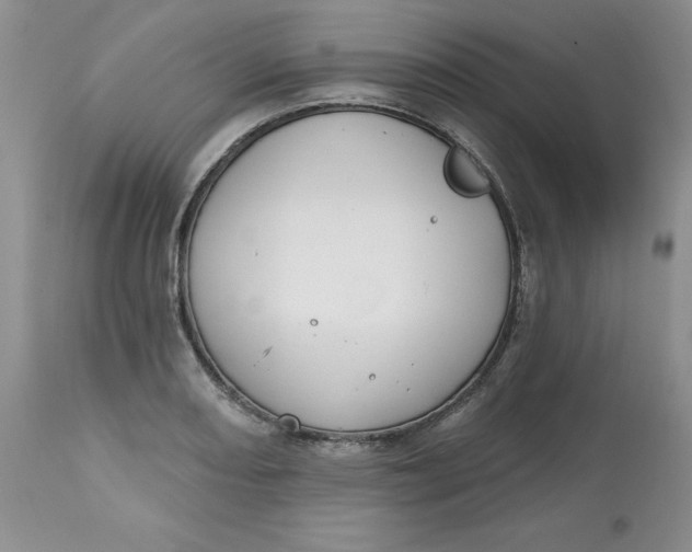 X0000112801082200909111230