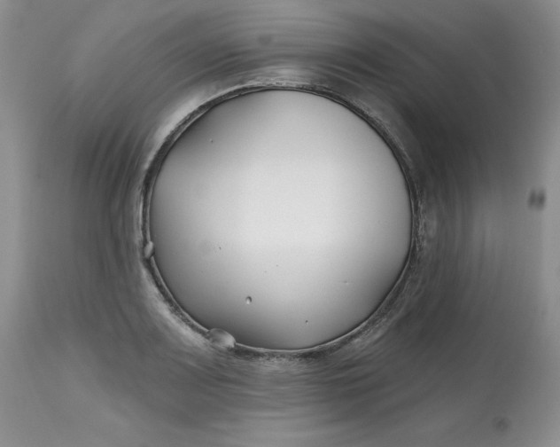 X0000112801083200909111230