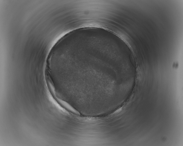 X0000112801084200909111230