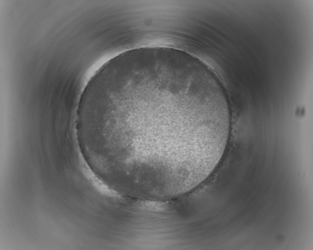 X0000112801086200909111230