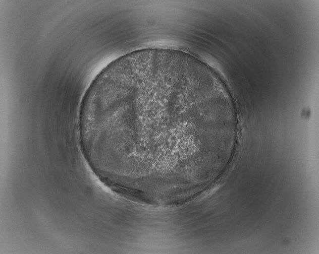 X0000112801087200909111230