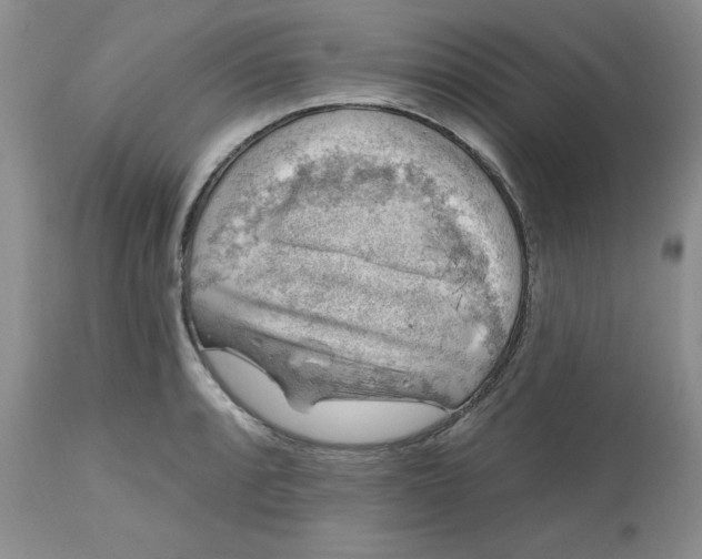 X0000112801088200909111230