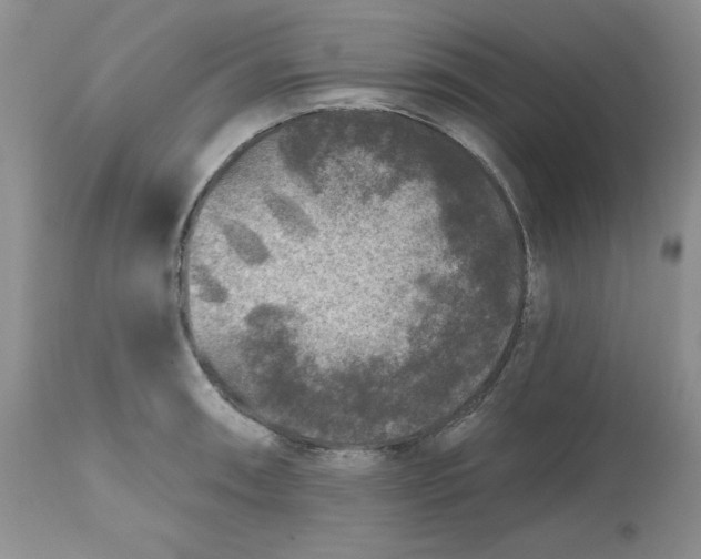 X0000112801090200909111230