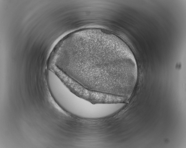 X0000112801092200909111230