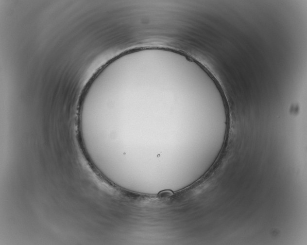 X0000112801093200909111230