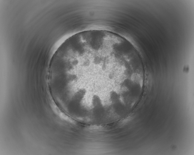 X0000112801094200909111230