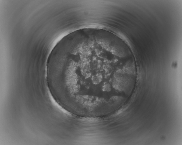 X0000112801095200909111230