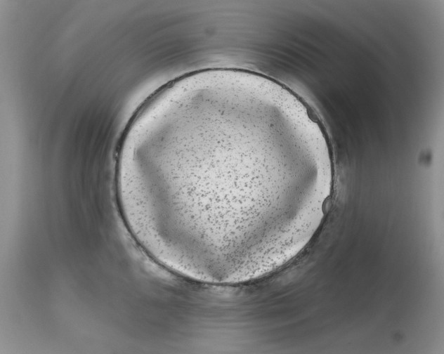 X0000112801096200909111230