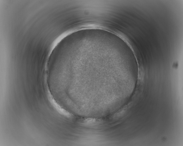 X0000112801098200909111230