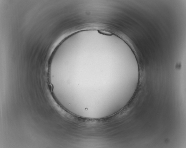 X0000112801099200909111230