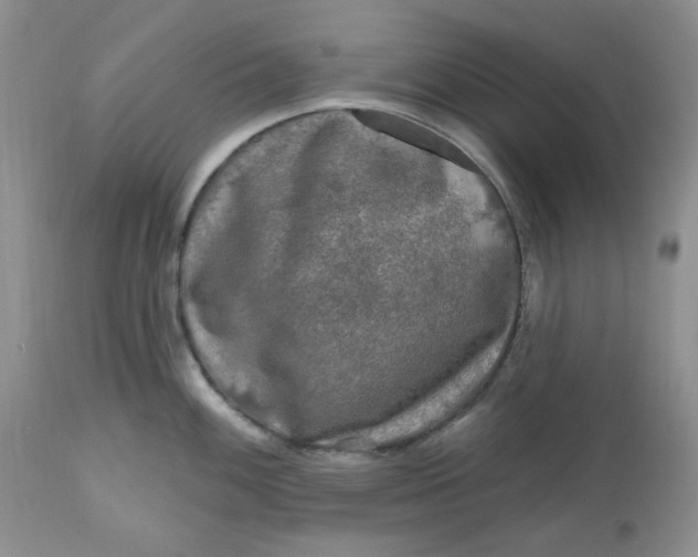 X0000112801100200909111230