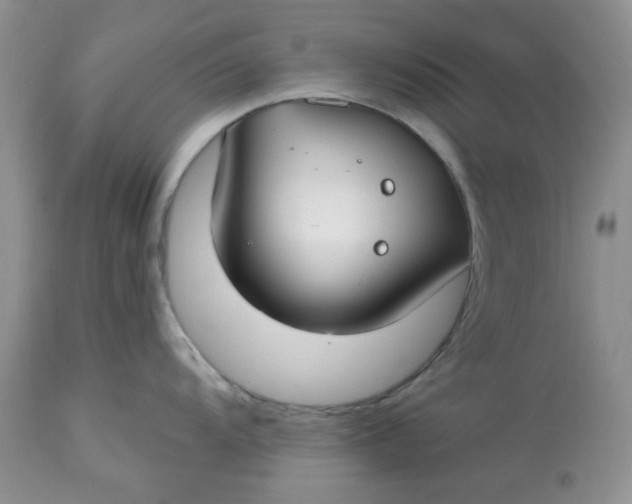 X0000112801104200909111230