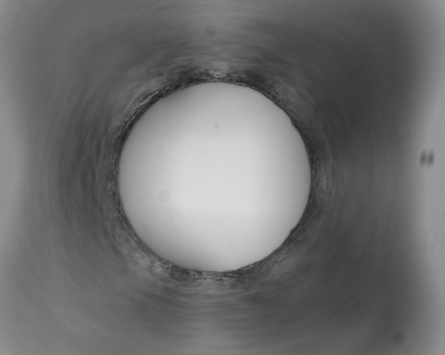 X0000112801105200909111229