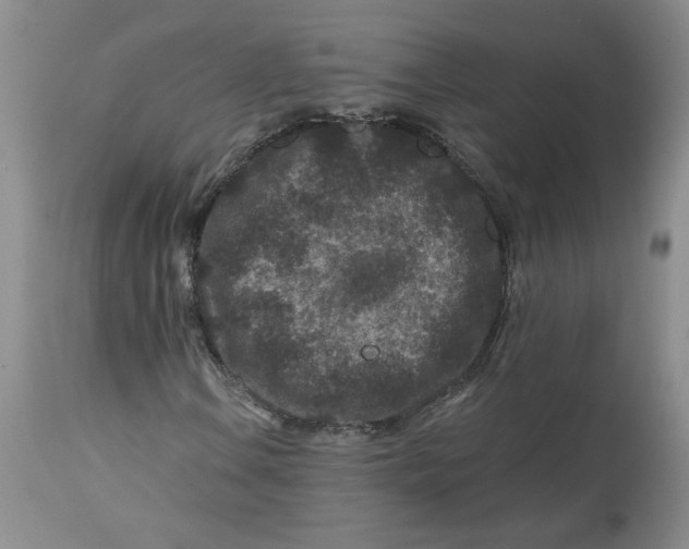 X0000112801106200909111229