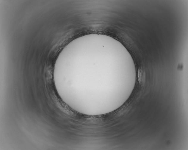 X0000112801107200909111229