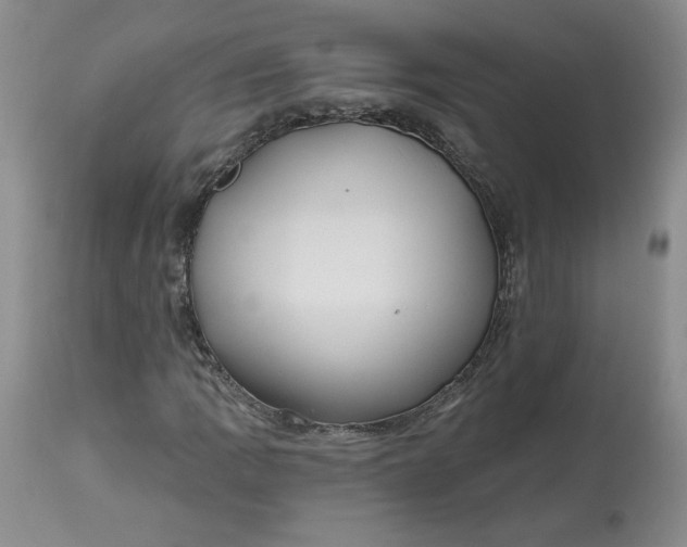 X0000112801109200909111229