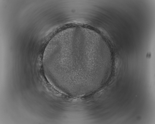 X0000112801110200909111229