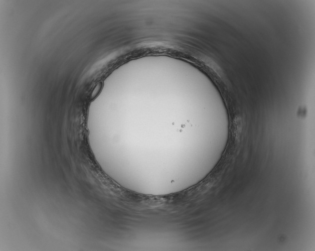 X0000112801111200909111229