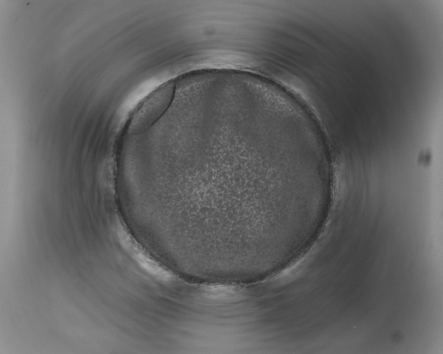 X0000112801114200909111229