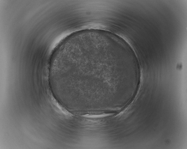 X0000112801115200909111229