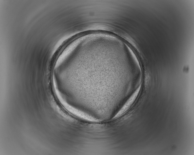 X0000112801116200909111229