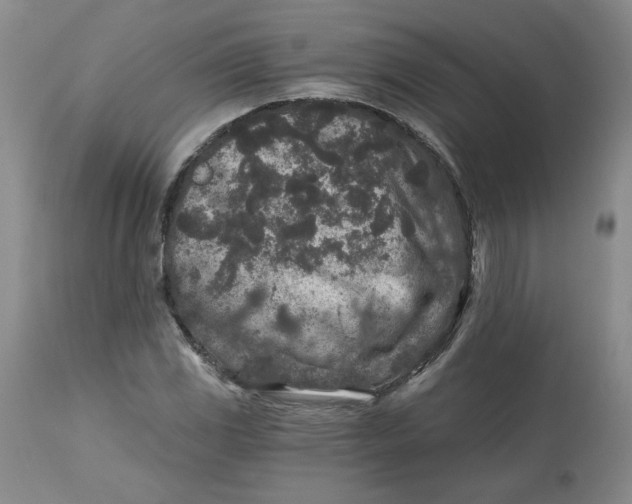 X0000112801117200909111229