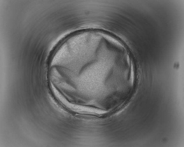 X0000112801118200909111229