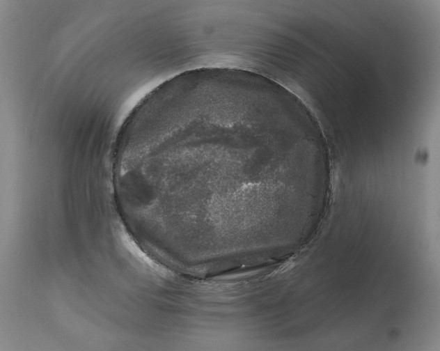 X0000112801120200909111229