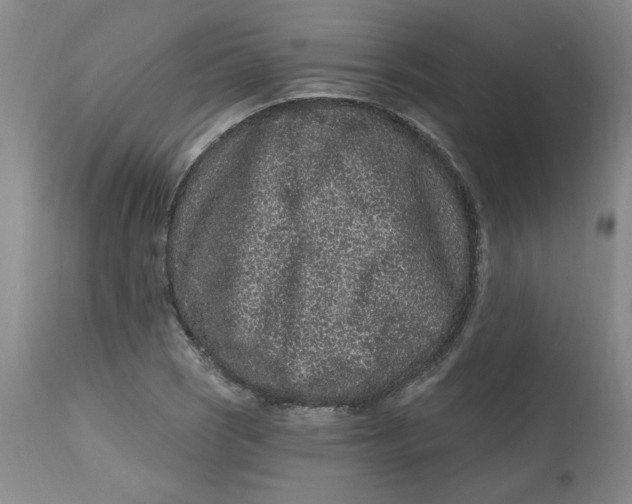 X0000112801121200909111229