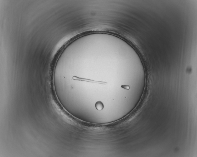 X0000112801122200909111229