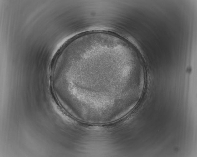 X0000112801124200909111229