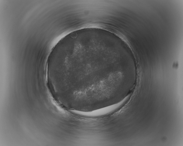 X0000112801127200909111229