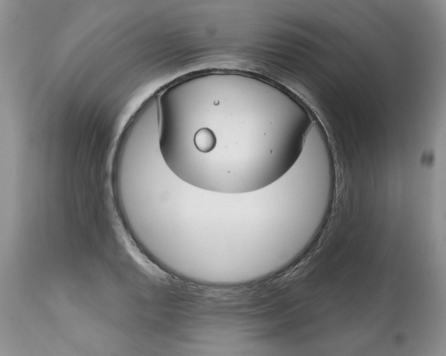 X0000112801128200909111229