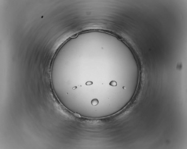 X0000112801129200909111229