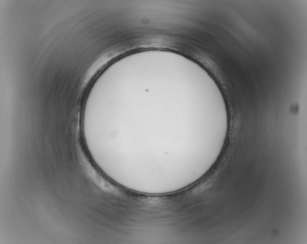 X0000112801130200909111229