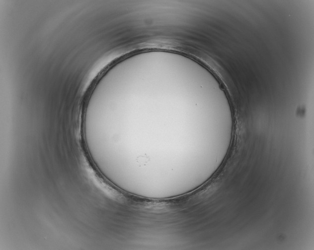 X0000112801131200909111229