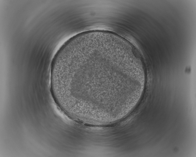 X0000112801132200909111229