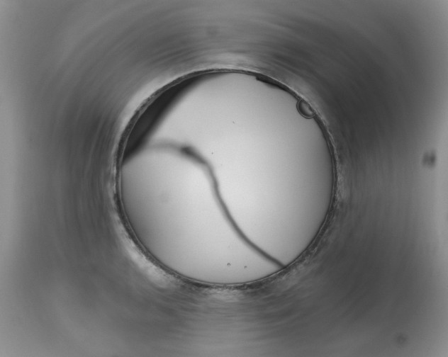 X0000112801136200909111229