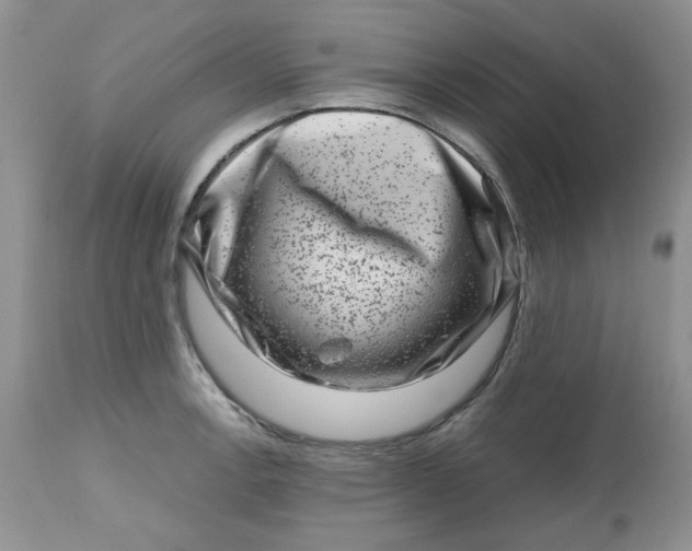 X0000112801138200909111229