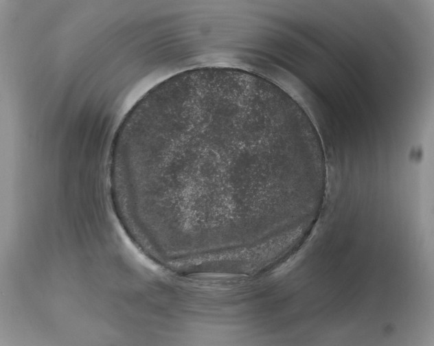 X0000112801141200909111230